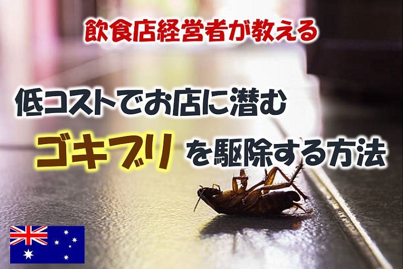 公式ショップ】 1箱 除去 ゴキブリ 殺虫剤 12個入 ブラックキャップ 退治 ゴキブリ対策